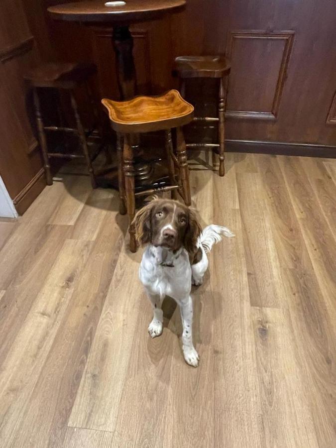 The Black Horse Inn Settle Bagian luar foto
